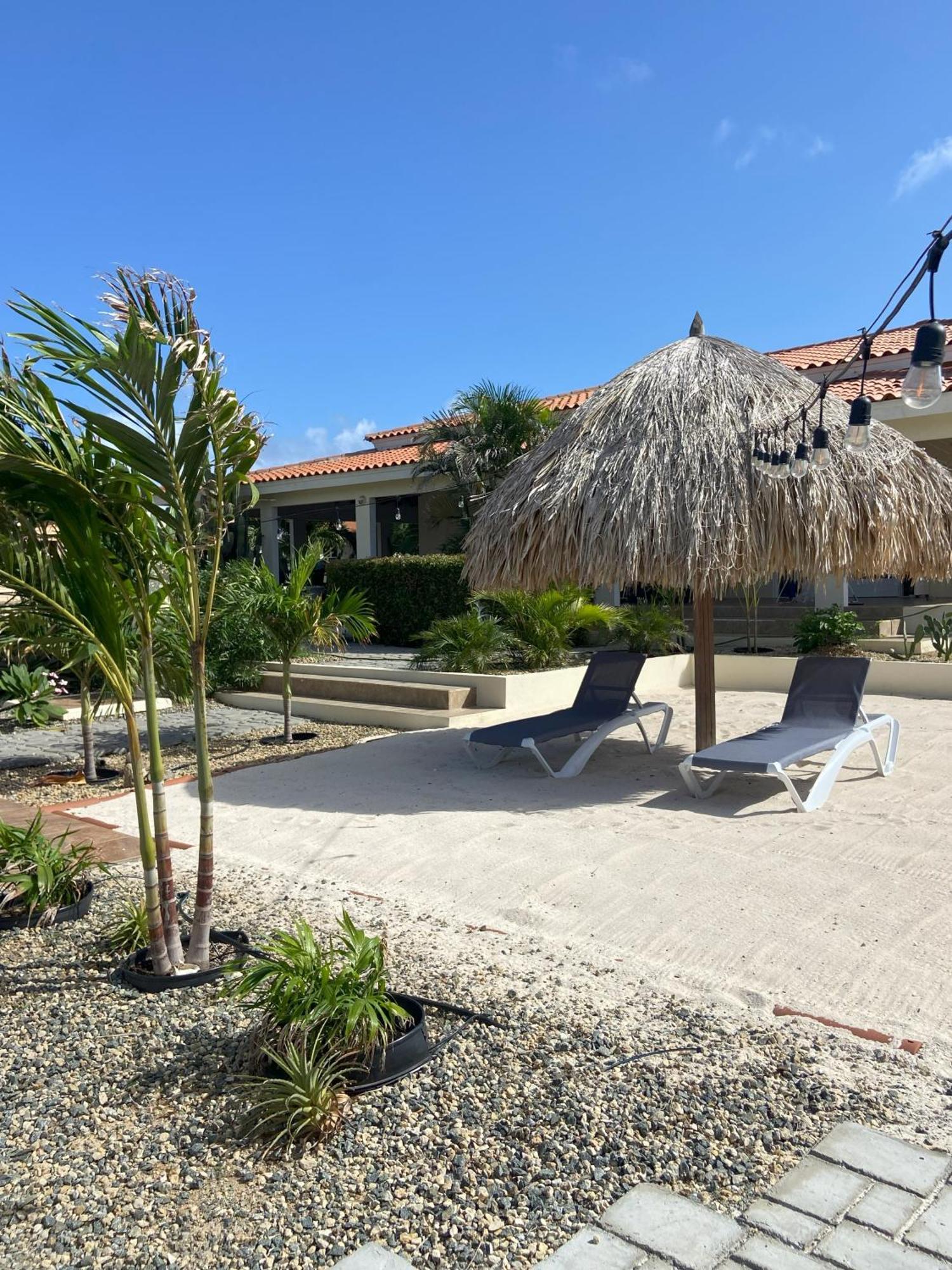 Pura Vida Aruba Appartement Palma Noord Bagian luar foto