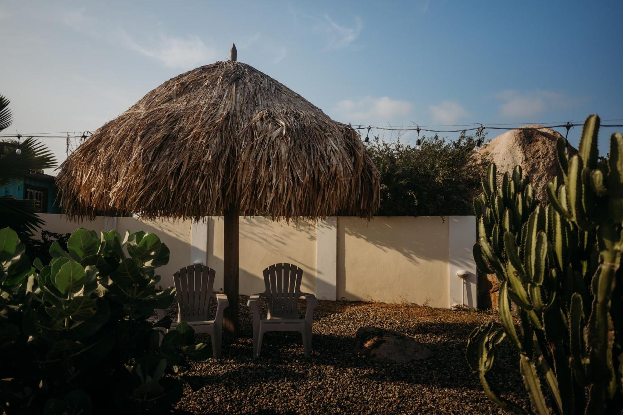Pura Vida Aruba Appartement Palma Noord Bagian luar foto