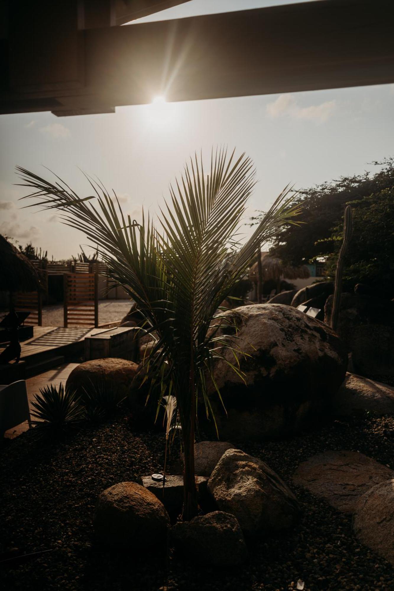 Pura Vida Aruba Appartement Palma Noord Bagian luar foto