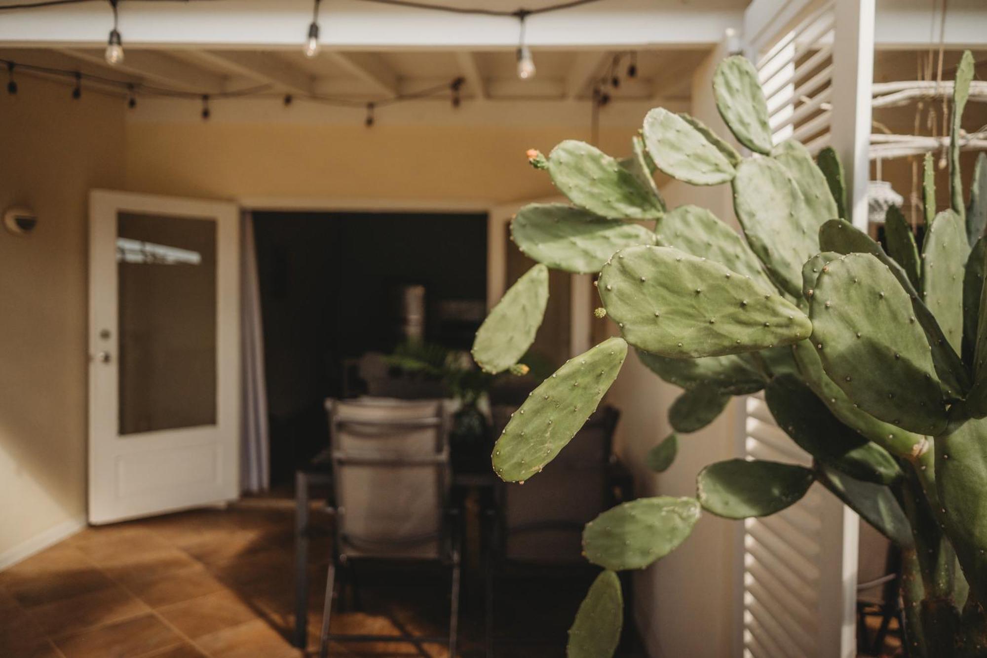 Pura Vida Aruba Appartement Palma Noord Bagian luar foto