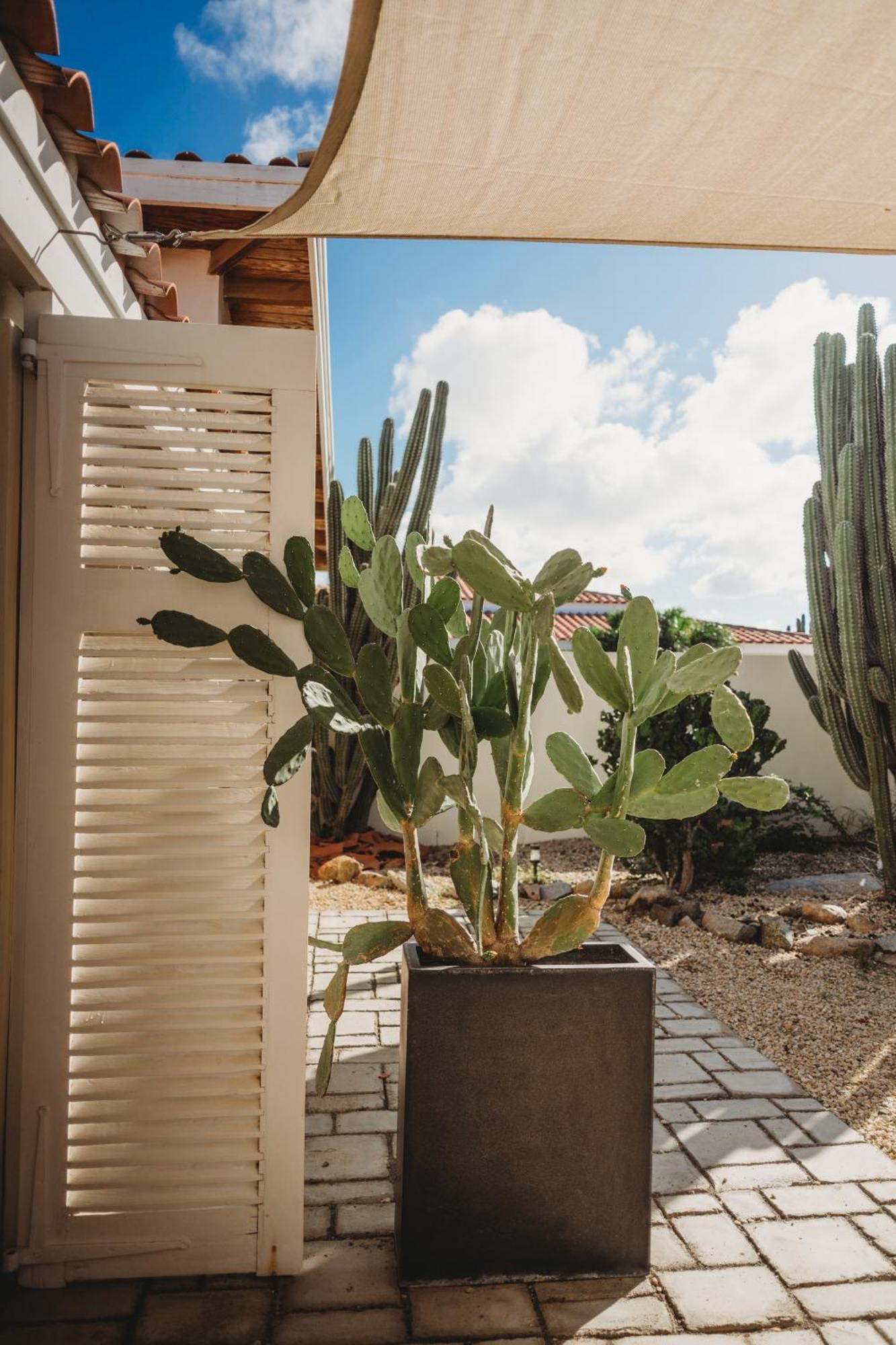 Pura Vida Aruba Appartement Palma Noord Bagian luar foto